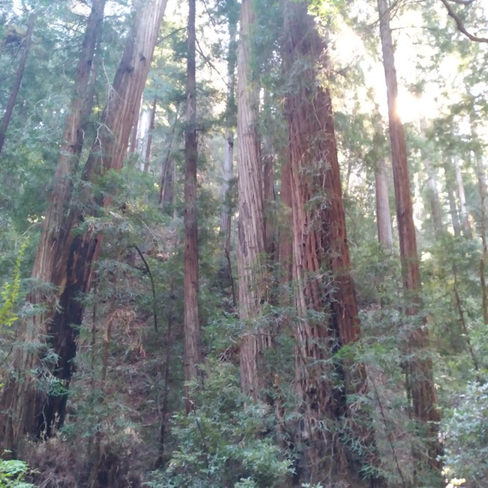 Meet your Posher, Joh-ann